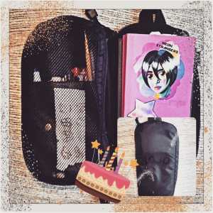 Hobonichi Weeks Mega inside cover.